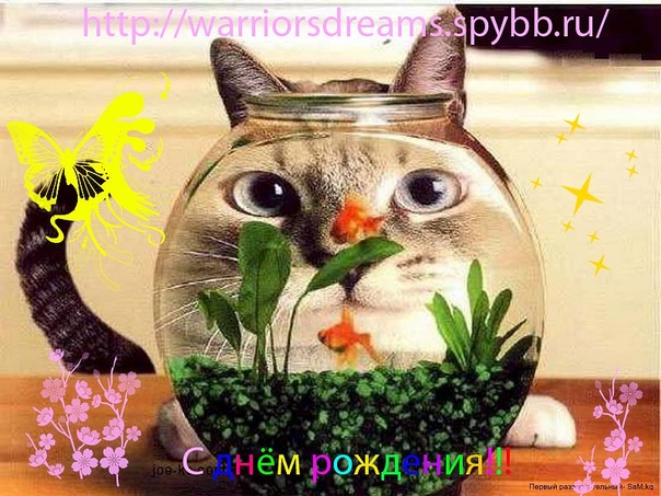http://cs4941.vkontakte.ru/u96804079/134915597/x_b0fbf414.jpg